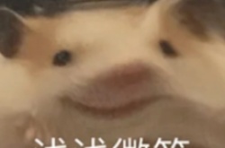 微博届到了是什么梗？届到了梗的意思及出处介绍