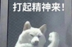 微博网络用语外卷侠是什么梗？网络用语外卷侠梗的意思介绍