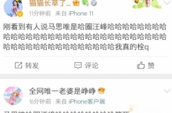 抖音哈圈汪峰是什么梗？哈圈汪峰梗介绍