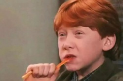 抖音铁树不会开花乌鸦只会谩骂是什么梗？铁树不会开花乌鸦只会谩骂梗意思详解