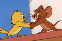 抖音白袜子是什么梗？白袜子梗的意思介绍