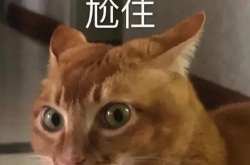 抖音帅哥皮肤有点黄啊是什么梗？帅哥皮肤有点黄啊梗的意思介绍