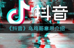 抖音乌鸡哥是什么梗？抖音乌鸡哥梗含义出处介绍