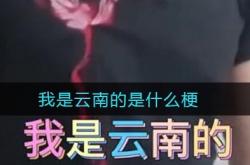 我是云南的是什么梗?云南梗的详解