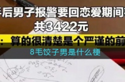8毛饺子男是什么梗？8毛饺子男梗的出处及意思详解