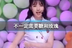 不一定需要糖和玫瑰是什么梗？梗的出处及意思详解