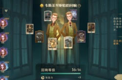 哈利波特阿瓦达索命速杀流怎么搭配？阿瓦达索命搭配指南