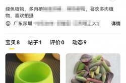 闲鱼怎么卖货？闲鱼卖货的方法