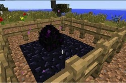 我的世界末影龙蛋怎么孵化？我的世界末影龙蛋孵化方法