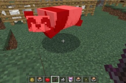 我的世界大熊猫的作用是什么？我的世界大熊猫的作用详解