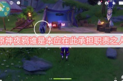 原神2.8版本夜鸦谁是本应在此承担职责之人怎么解密？夜鸦谁是本应在此承担职责之人攻略