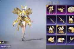 和平精英庄周梦蝶皮肤价格一览