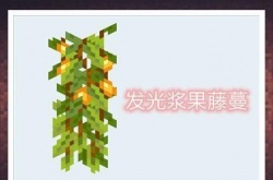 我的世界发光浆果怎么得？有什么用