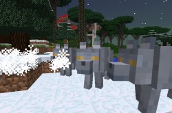 我的世界暮色森林模组寒冬狼在哪？寒冬狼介绍