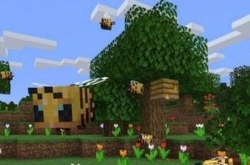 我的世界蜂巢是什么？蜂巢有什么用