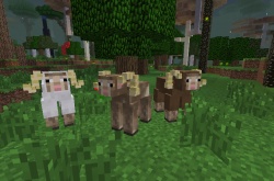 我的世界暮色森林模组大角山羊在哪？大角山羊介绍