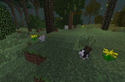 我的世界暮色森林模组小兔子在哪？小兔子介绍