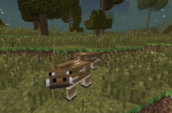 我的世界暮色森林模组野猪在哪？野猪介绍