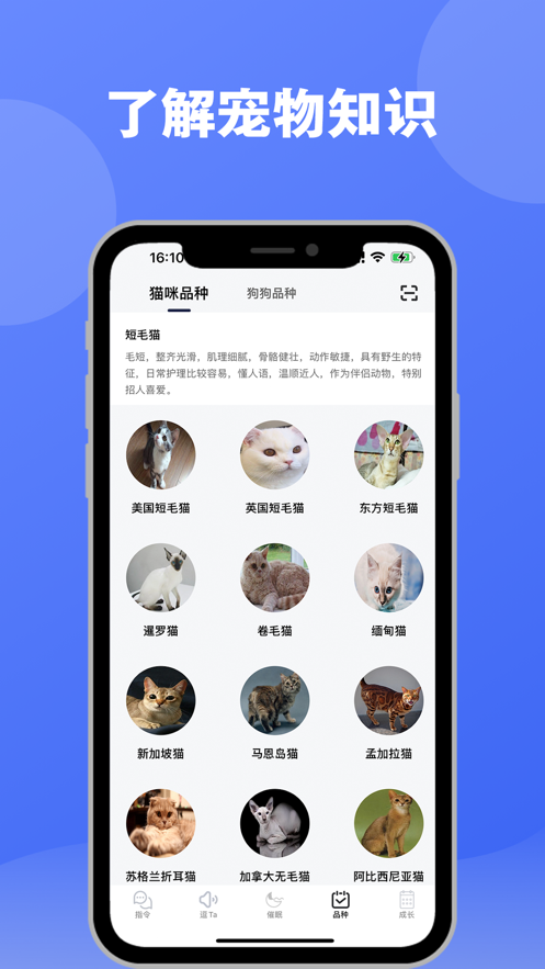 逗宠最新版APP下载