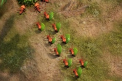 小小蚁国怎样进行装扮升星？小小蚁国装扮升星攻略