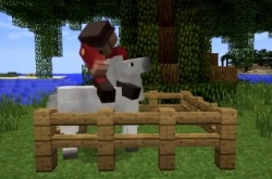 我的世界如何驯服马？我的世界驯服马攻略