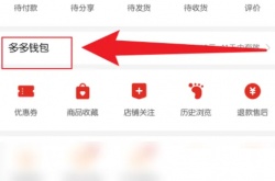 拼多多怎么修改多多钱包密码？拼多多修改多多钱包密码方法