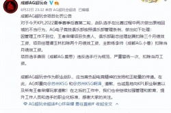 王者荣耀KPL夏季赛季后赛结束后，成都AG超玩会处罚选手不当行为