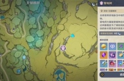 原神3.0版本掣电树在哪？原神3.0版本须弥区域掣电树打法