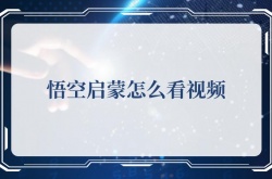 悟空启蒙怎么看视频,悟空启蒙看视频的方法 