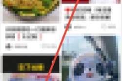 小红书搜索功能怎么使用?小红书搜索功能使用方法