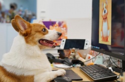 动物派对开发日志第四期 GTX 1050即可畅玩