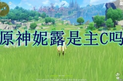 原神妮露阵容怎么搭配？原神妮露主C阵容搭配推荐
