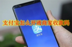支付宝怎么开通商家收款码？支付宝商家收款码开通方法