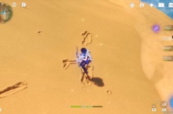 原神须弥沙漠地区细节被国外玩家称赞 做得好啊米哈游