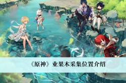 原神3.0业果木采集位置一览