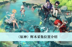 原神3.0辉木采集位置一览