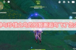 原神与珍惜之鸟的短暂邂逅鸟飞了怎么办？