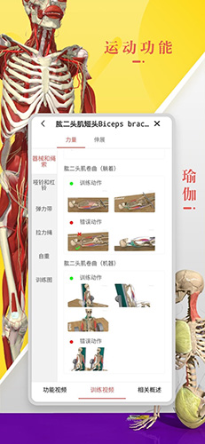3Dbody解剖手机版