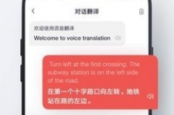 网易有道词典实时翻译怎么设置？网易有道词典实时翻译设置方法