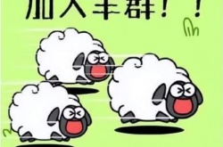 羊了个羊怎么开挂？微信小游戏羊了个羊开挂技巧介绍