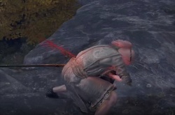 艾尔登法环切腹战技在哪里获取？艾尔登法环切腹战技获取位置一览