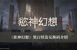 欲神幻想黑白怪盗兑换码一览