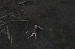 艾尔登法环布娃娃效果MOD 死后不再化成灰