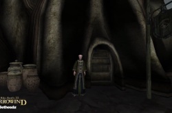 上古卷轴3RTX Remix重置效果演示 像是两个游戏