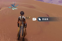 原神圣金虫怎么采集？原神圣金虫采集方法