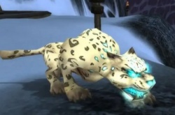 魔兽世界二哈坐骑怎么获得？怀旧服wlk洛卡纳哈刷新时间捕捉攻略