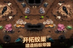 小小蚁国全新游戏兑换码是什么？小小蚁国全新游戏兑换码一览