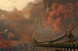 只狼影逝二度多少钱 只狼影逝二度steam价格