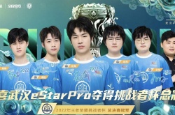 王者荣耀挑战者杯签名皮肤价格一览