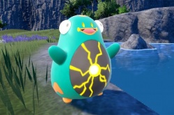 宝可梦朱紫新情报 奇树的搭档宝可梦电肚蛙亮相